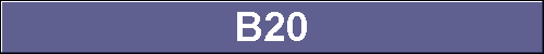 B20 